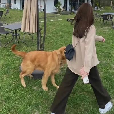 舞动节拍